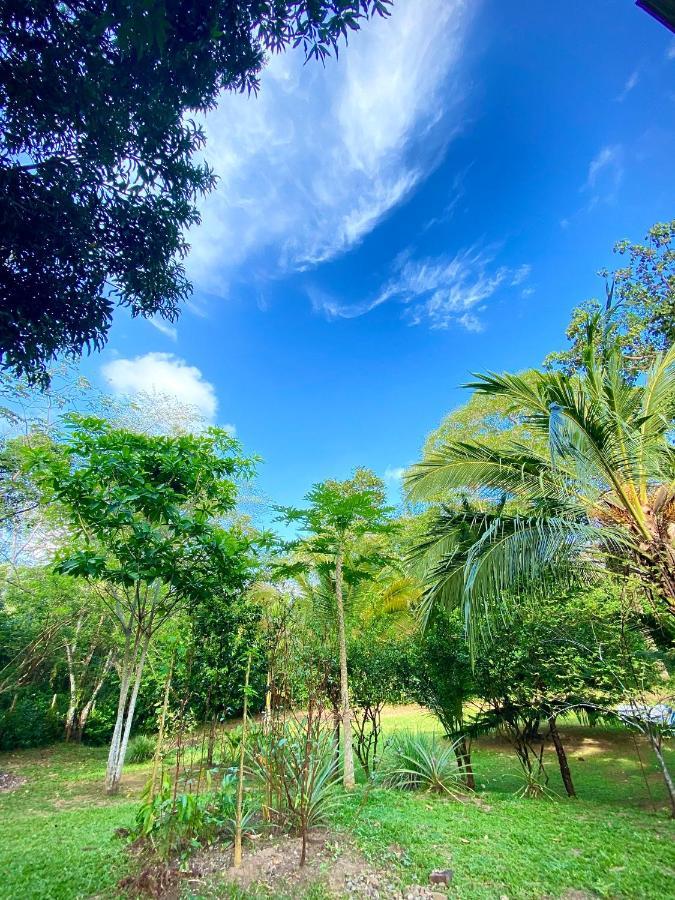 Hostal Portal Del Sol Capurganá 外观 照片